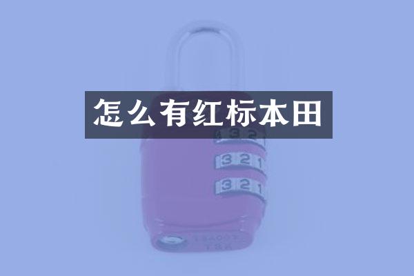 怎么有红标本田