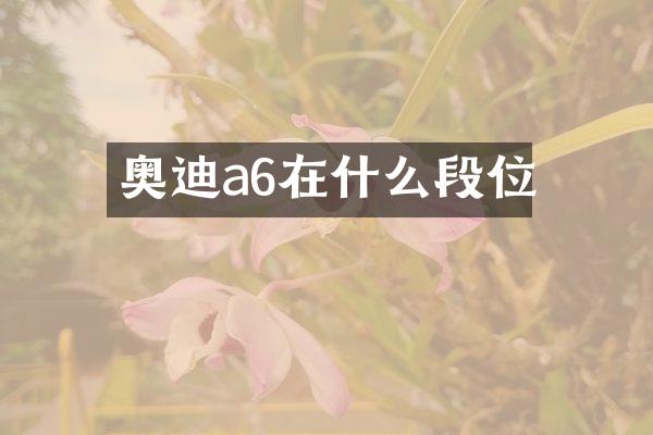 奥迪a6在什么段位