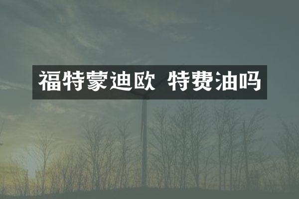 福特蒙迪欧 特费油吗