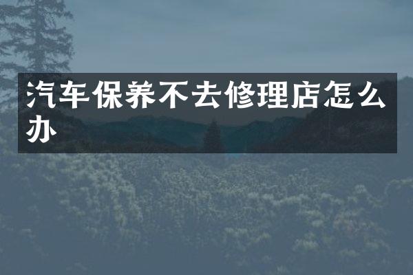 汽车保养不去修理店怎么办