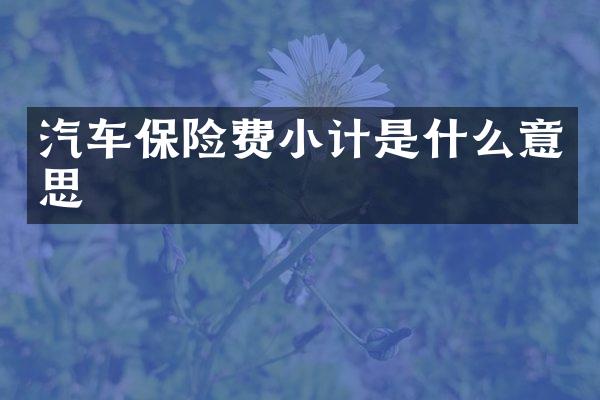 汽车保险费小计是什么意思