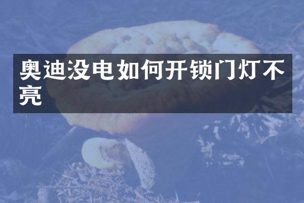 奥迪没电如何开锁门灯不亮