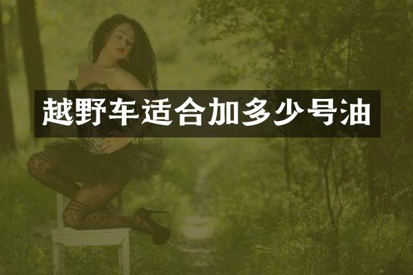 越野车适合加多少号油