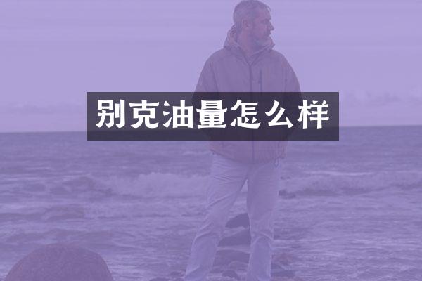 别克油量怎么样