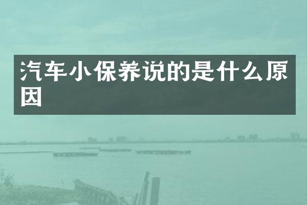 汽车小保养说的是什么原因