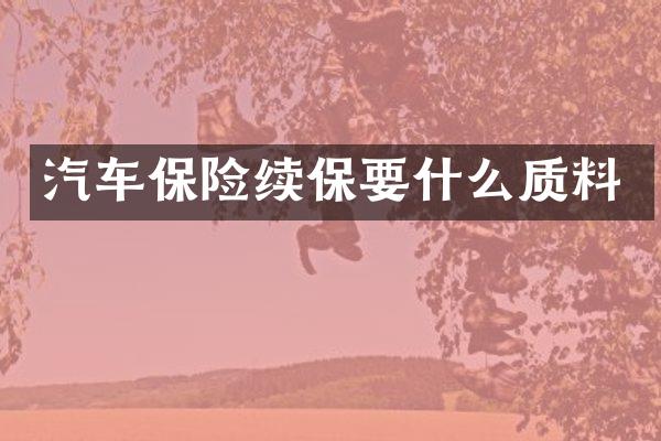 汽车保险续保要什么质料