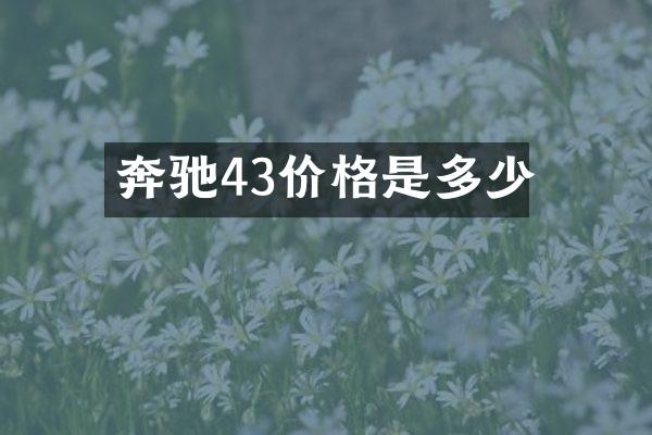 奔驰43价格是多少