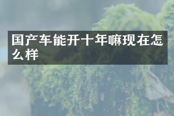 国产车能开十年嘛现在怎么样