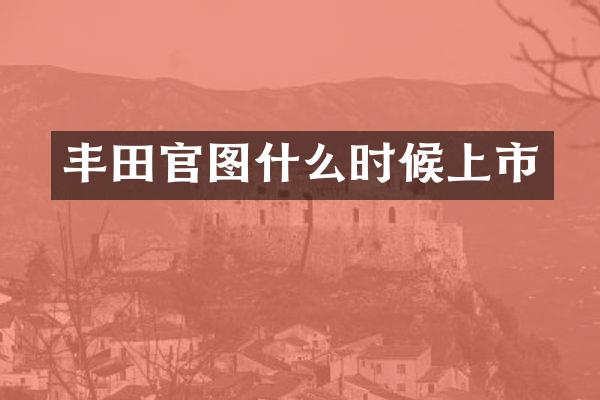丰田官图什么时候上市