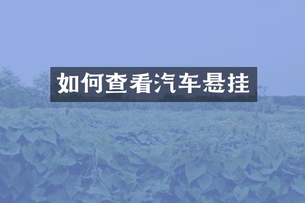 如何查看汽车悬挂