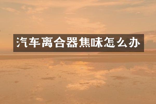 汽车离合器焦味怎么办