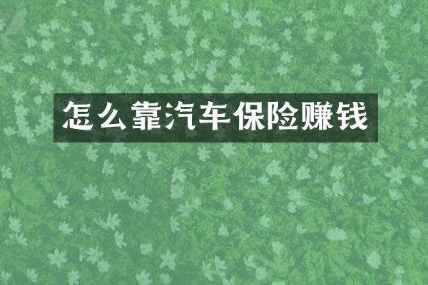 怎么靠汽车保险赚钱
