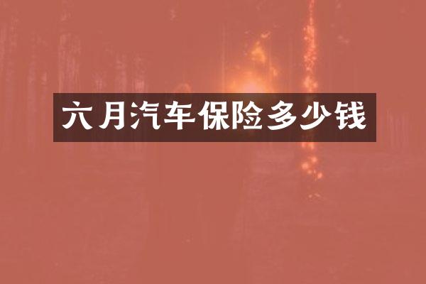 六月汽车保险多少钱