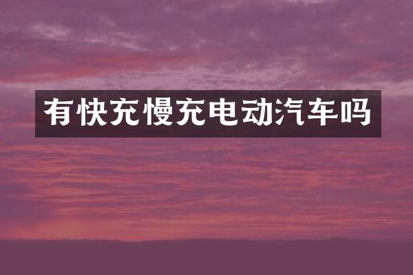 有快充慢充电动汽车吗