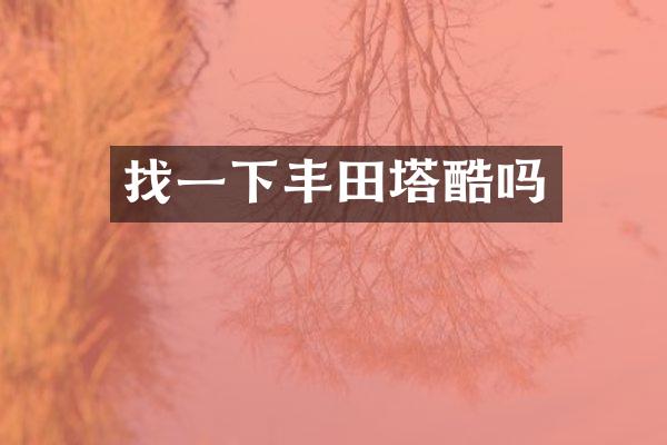 找一下丰田塔酷吗