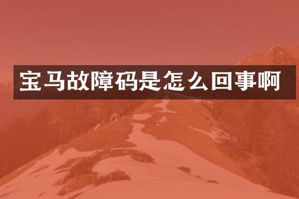 宝马故障码是怎么回事啊