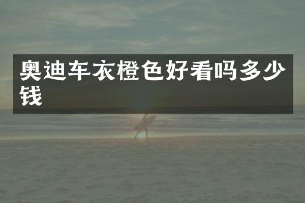奥迪车衣橙色好看吗多少钱