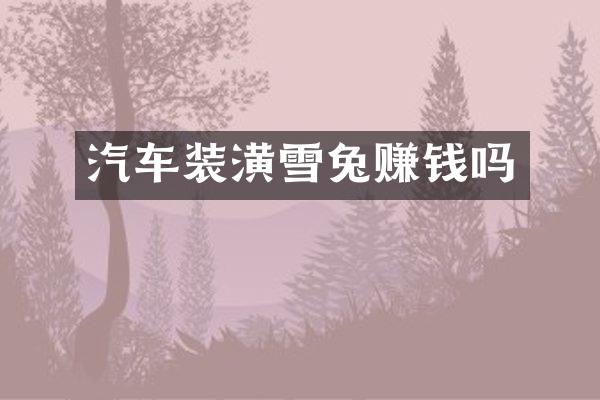 汽车装潢雪兔赚钱吗