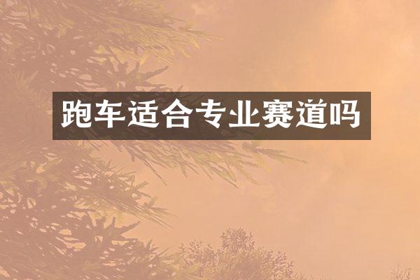 跑车适合专业赛道吗