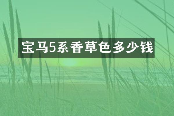 宝马5系香草色多少钱
