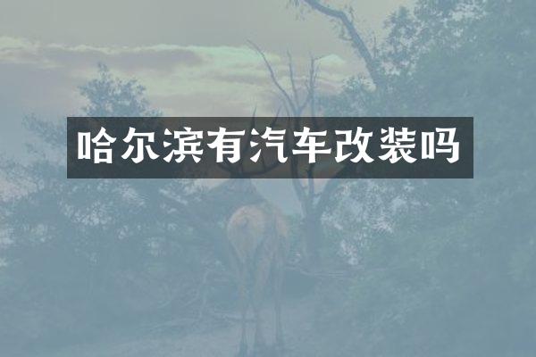 哈尔滨有汽车改装吗