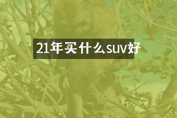 21年suv好