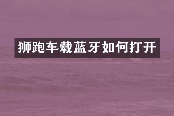狮跑车载蓝牙如何打开