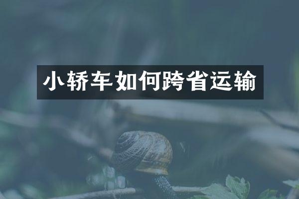 小轿车如何跨省运输