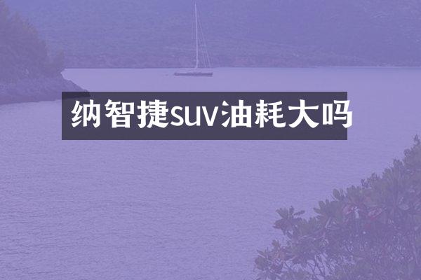 纳智捷suv油耗大吗
