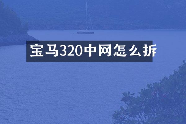 宝马320中网怎么拆