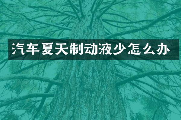 汽车夏天制动液少怎么办