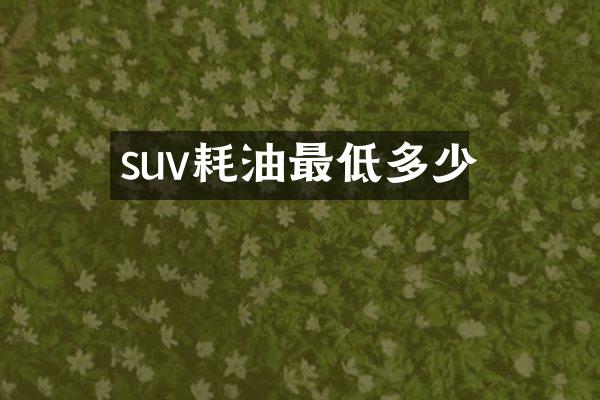 suv耗油最低多少