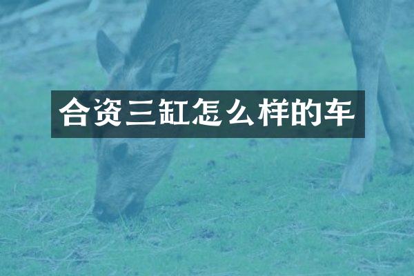 合资三缸怎么样的车