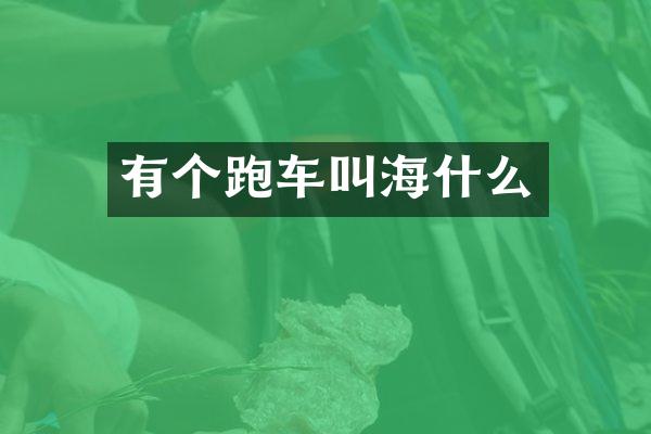 有个跑车叫海什么
