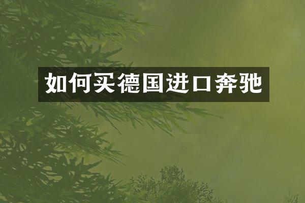 如何买德国进口奔驰
