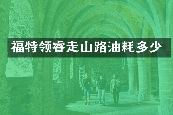 福特领睿走山路油耗多少