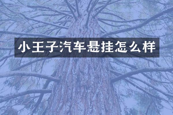 小王子汽车悬挂怎么样