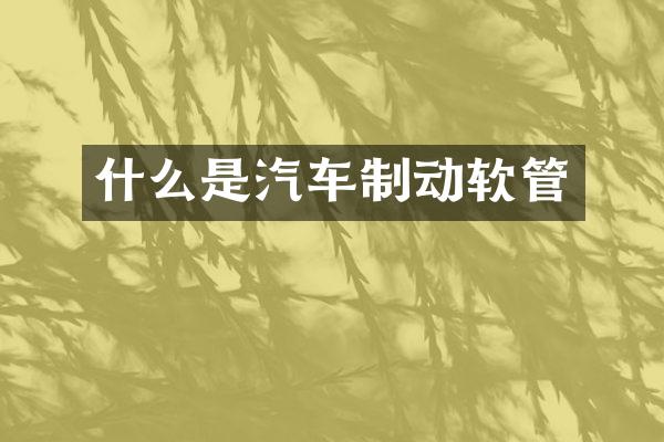 什么是汽车制动软管