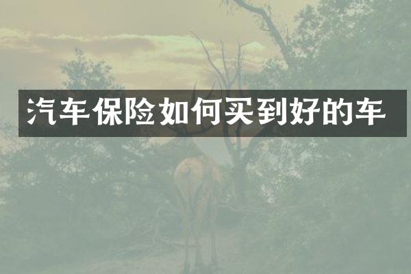 汽车保险如何买到好的车