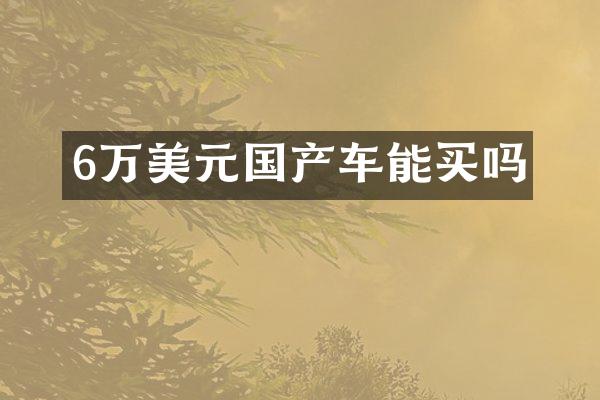 6万美元国产车能买吗