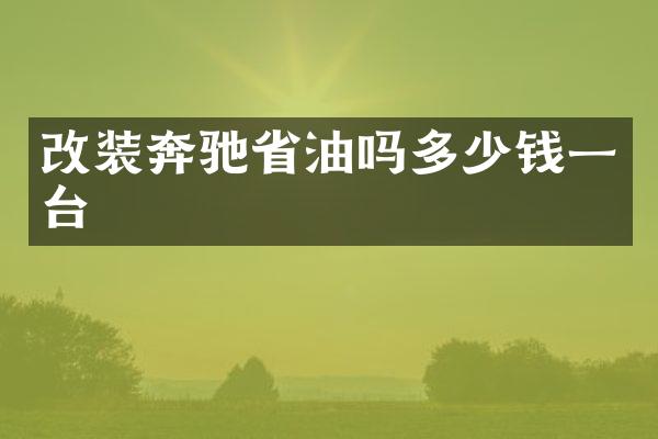 改装奔驰省油吗多少钱一台