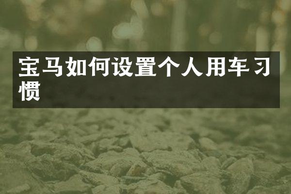 宝马如何设置个人用车习惯