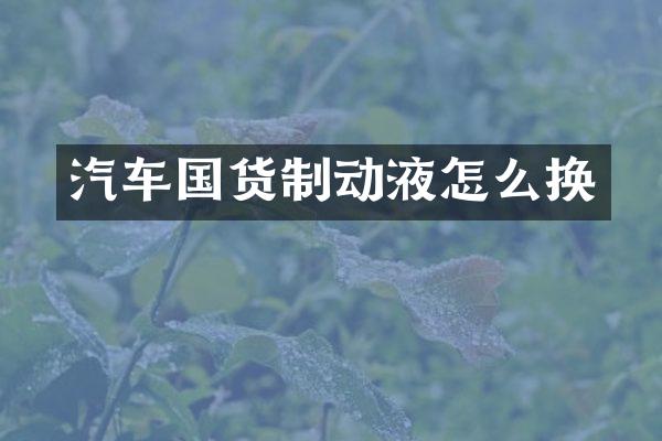 汽车国货制动液怎么换