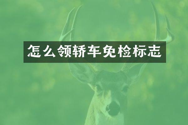怎么领轿车免检标志