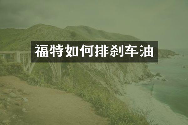 福特如何排刹车油