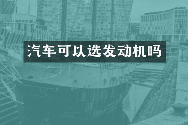 汽车可以选发动机吗