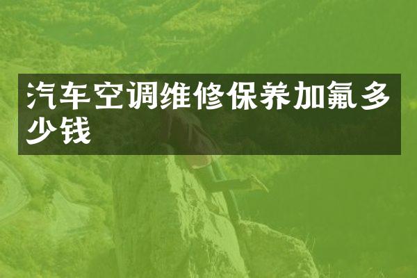 汽车空调维修保养加氟多少钱