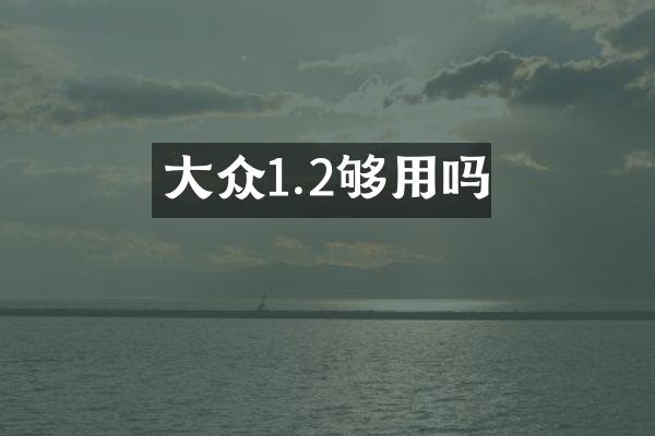 大众1.2够用吗