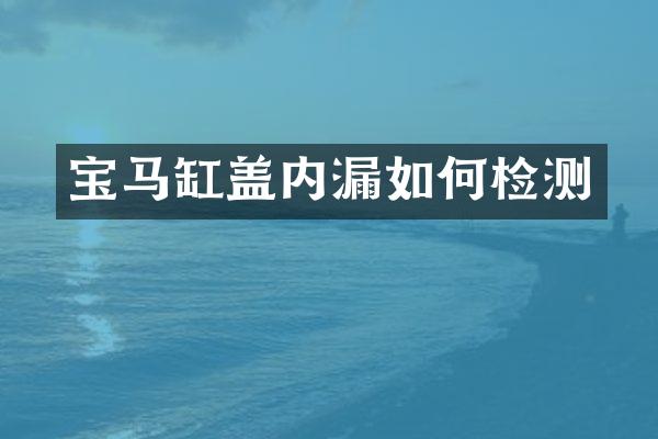 宝马缸盖内漏如何检测