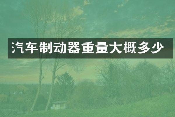 汽车制动器重量大概多少